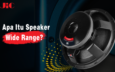 Apa Itu Speaker Wide Range? Berikut Penjelasannya